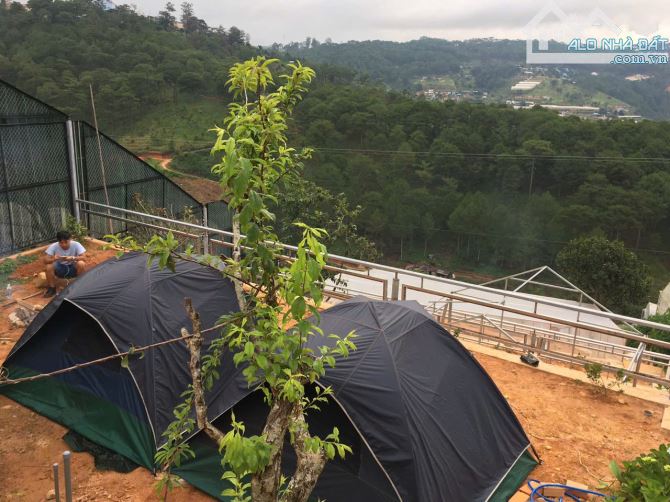 Cần bán 3000m2 đất View rừng Thông bạt ngàn tại Hoàng Hoa Thám phường 10 Đà Lạt - 2