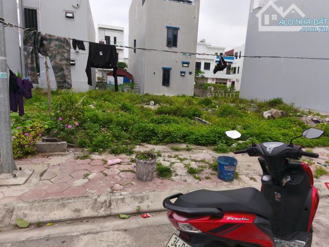 Bán đất phân lô, đất TDC, đất đấu giá Đồ Sơn - 2