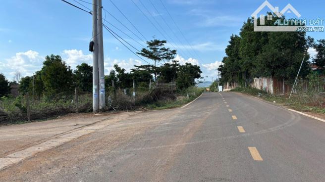 Bán gấp lô đất THANH AN HỚN QUẢN ,DT 250M2, GIÁ 250 TRIỆU, SỔ HỒNG RIÊNG - 2