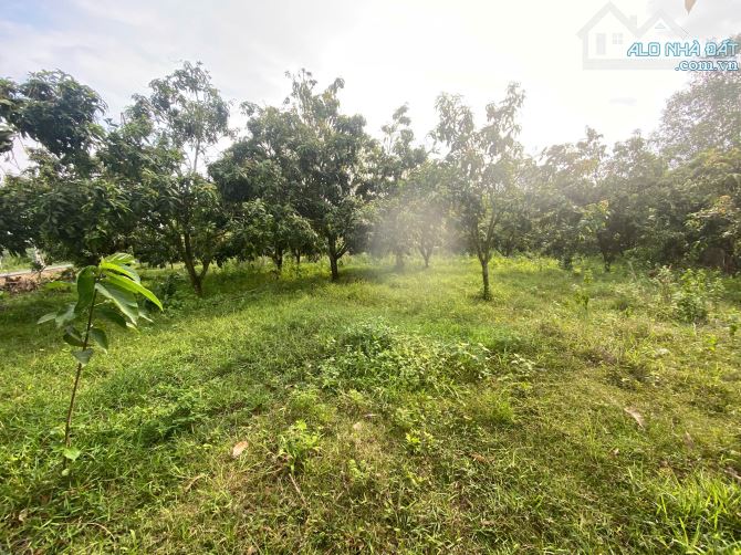 bán lô đât vườn 2085m2 đất có 8m mặt tiền đường nhựa rộng 8m,cách qlo 20 khoảng 2km,giá re - 3