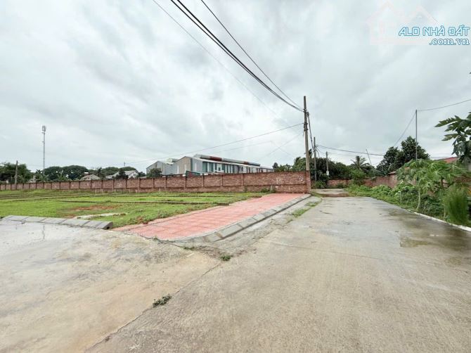 Chào bán 56,3m Xuân Đồng - Tân Minh - Sóc Sơn- Hà Nội - 3