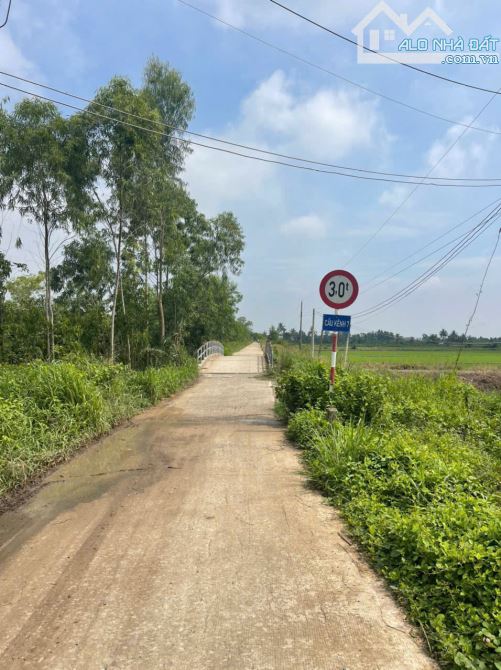 17200m2 đất vườn xã Tân Hòa, Bến Lức , Long An giá 24,1 tỷ - 3
