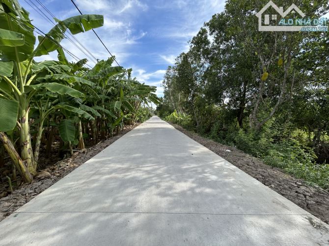 ✅ Bán 2 lô đất thổ đường 5m thuộc Ấp 4 , Bình Tâm , TP Tân An _ Diện Tích : 5.7 x 35m2 - 3