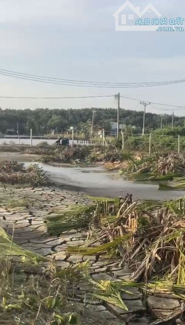 Cần bán siêu phẩm lô góc 2 mặt tiền đường tại xã an Thới đông cần giờ tphcm - 3