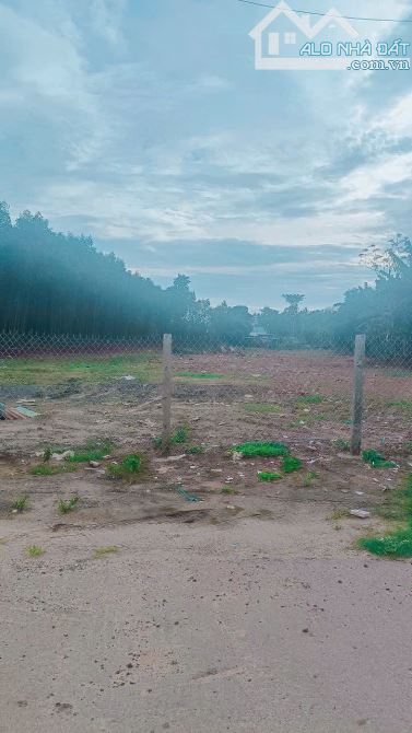 Cần bán 3.874m2 đất phủ hồng mặt tiền đường nhựa đến 26m trung  tâm TT Phước Bửu - 3