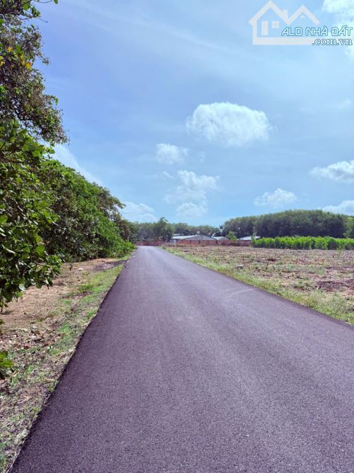 Cần bán 10.866m2 đất phủ hồng, mặt tiền nhựa đến71m, trong khu dân cư hiện hữu Phước Tân - 3
