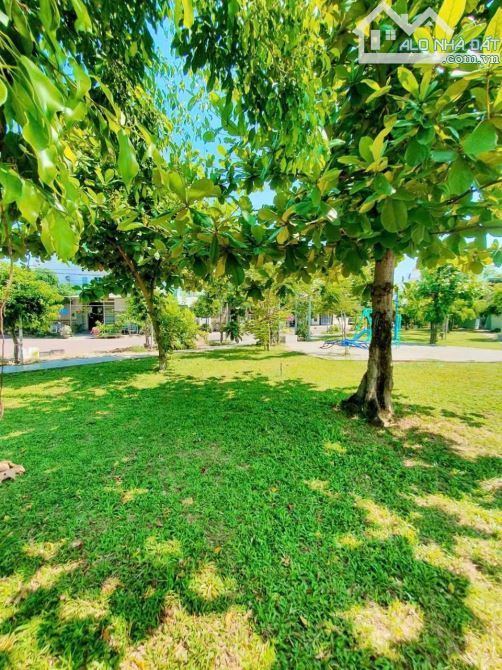 🏡 BÁN LÔ ĐẤT ĐẸP ĐƯỜNG PHẠM NGỌC THẢO – P. ĐỐNG ĐA, QUY NHƠN 🏡 - 3