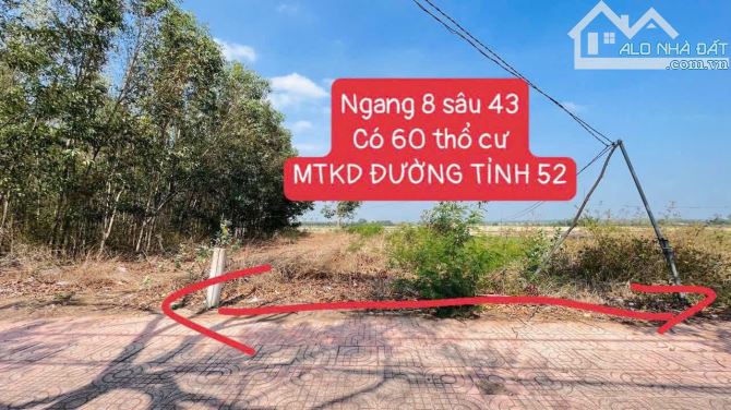 MẶT TIỀN TỈNH LỘ 52 VÕ THỊ SÁU TT ĐẤT ĐỎ - ĐẤT ĐỎ - BRVT 🌈DT 345M2 -  8M X 42M - SẴN 60TC - 4