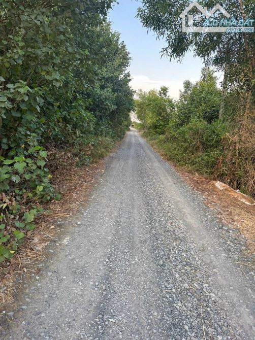 4800m2 đất xã An Thạnh, Bến Lức giá 9 tỷ - 4
