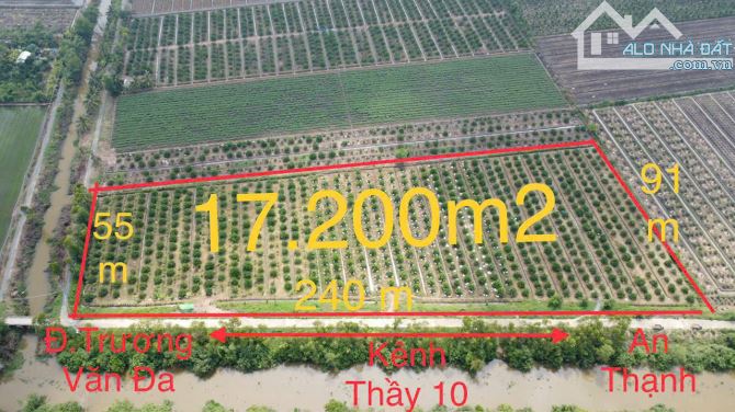 17200m2 đất vườn xã Tân Hòa, Bến Lức , Long An giá 24,1 tỷ - 4
