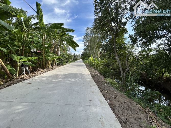 ✅ Bán 2 lô đất thổ đường 5m thuộc Ấp 4 , Bình Tâm , TP Tân An _ Diện Tích : 5.7 x 35m2 - 4