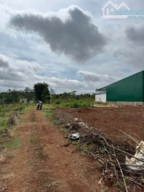 ❌Bán lô đất nửa sào ( 579m2 ) thuộc hẻm 327 ymon, xã cubua  cách đường vành đai 10/3 chỉ 5 - 4