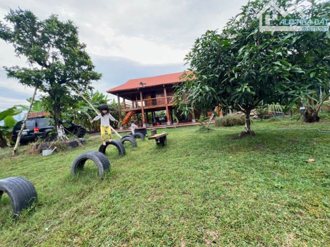 Bán trang trại Nhơn Trạch sát TP.HCM giá rẻ 8,5ty/2800m,đg xe tải, gần sông.Sổ riêng. - 4