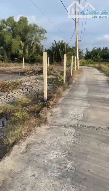 Cần bán siêu phẩm lô góc 2 mặt tiền đường tại xã an Thới đông cần giờ tphcm - 4