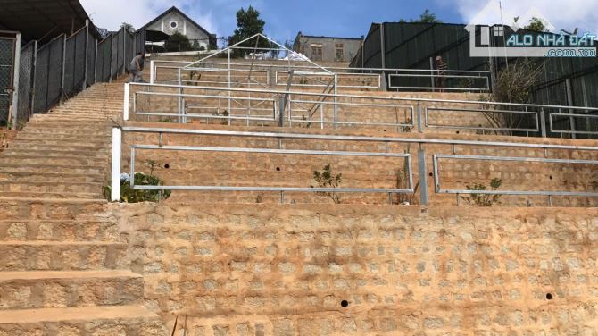 Cần bán 3000m2 đất View rừng Thông bạt ngàn tại Hoàng Hoa Thám phường 10 Đà Lạt - 5