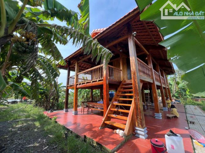 Bán trang trại Nhơn Trạch sát TP.HCM giá rẻ 8,5ty/2800m,đg xe tải, gần sông.Sổ riêng. - 5