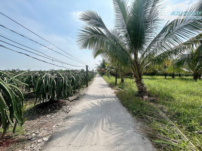 ✅ Bán 2 lô đất thổ đường 5m thuộc Ấp 4 , Bình Tâm , TP Tân An _ Diện Tích : 5.7 x 35m2 - 6