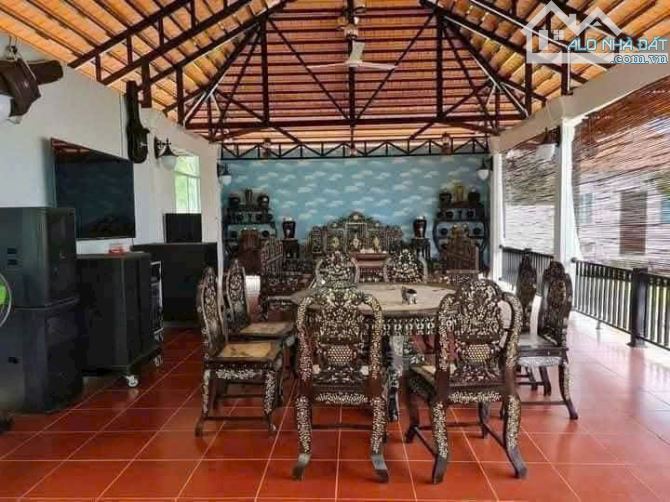 Bán biệt thự sân vườn 1 mẫu đất đường nhựa tân thành bình - 7