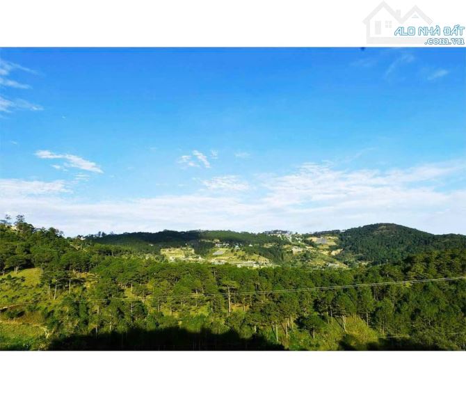 Cần bán 3000m2 đất View rừng Thông bạt ngàn tại Hoàng Hoa Thám phường 10 Đà Lạt - 8