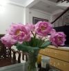 BÁN GẤP NHÀ PHỐ PHAN KẾ BÍNH -QUẬN BA ĐÌNH -GẦN PHỐ - 57 M 2 - 3  TẦNG - Giá  chào 7 tỷ 8
