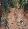 Bán 1.5hec đất Đam Rông, cách Đà Lạt 35km chim bay