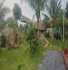 Bán nhà vườn, phù hợp xây khu nghỉ dưỡng Tỉnh Lộ 10, 3,4 tỷ, 370 m2, view đẹp 3 mặt sông