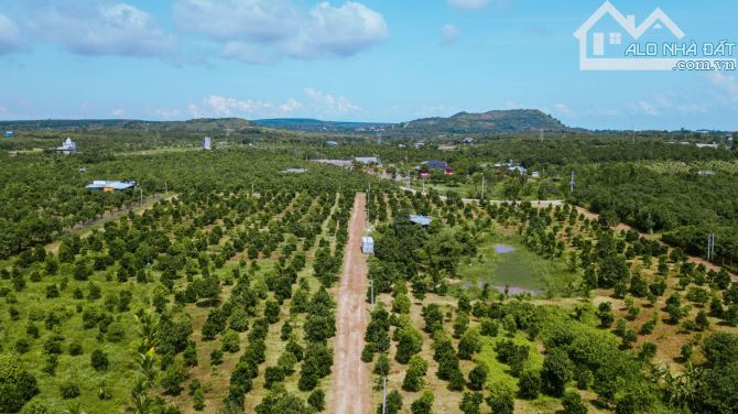 Chủ kẹt bán gấp 719 triệu/ 1000m2 đất Đồng Nai - 4
