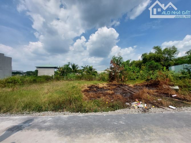 Bán đất thổ cư Đức Hòa Hạ, vị trí tiềm năng và gần khu công nghiệp Tân Đức, Hải Sơn - 4