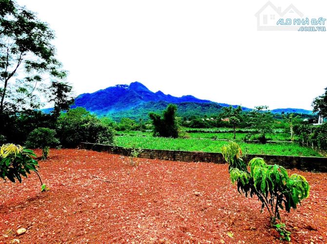 Cần Bán Mảnh Đất Tại Vân Hoà, Ba Vì 1534M2_200m2 Thổ Cư, View Đẹp , Sổ hồng Nở Hậu