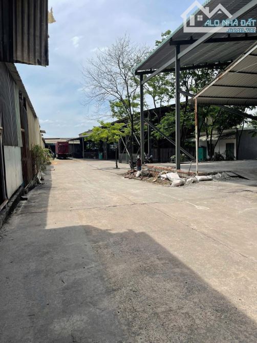 XT197 Xưởng cho thuê bao gồm tất cả các hệ thống máy móc nghành gỗ 2000m2 Tam Phước BH ĐN