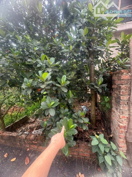 🌟 BÁN 64,3m² LÔ ĐẤT TRUNG CHÂU, ĐAN PHƯỢNG – ĐƯỜNG Ô TÔ, GẦN NHÀ VĂN HÓA – GIÁ SIÊ