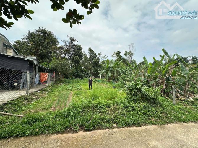 📌📌📌Làm việc trực tiếp!!! bán đất Phú Hoà 1 - Hoà Vang - Đất cao ráo sạch sẽ 🌺l
