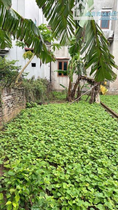RẺ NHẤT GIA LÂM - 60m2 - BÁN ĐẤT TRÂU QUỲ - NGÕ NÔNG - DÂN CƯ VĂN MINH - NHỈNH 3tỷ