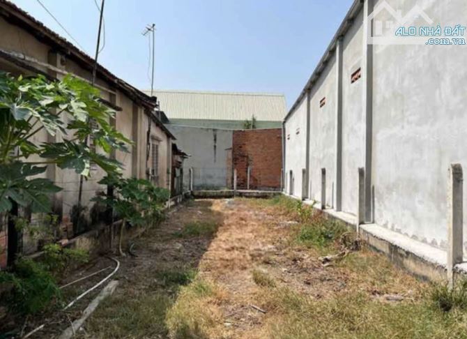 CHỦ NGỘP BÁN LÔ ĐẤT GIÁ RẺ Ở PHƯỚC HIỆP CỦ CHI 99M2 GIÁ 470 TRIỆU