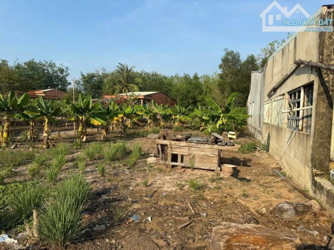 BÁN GẤP ĐẤT AN TỊNH 262m2 ngang 5M dài 52M ĐƯỜNG 4M SHR 520 TRIỆU NGAY SÁT NHÀ DÂN