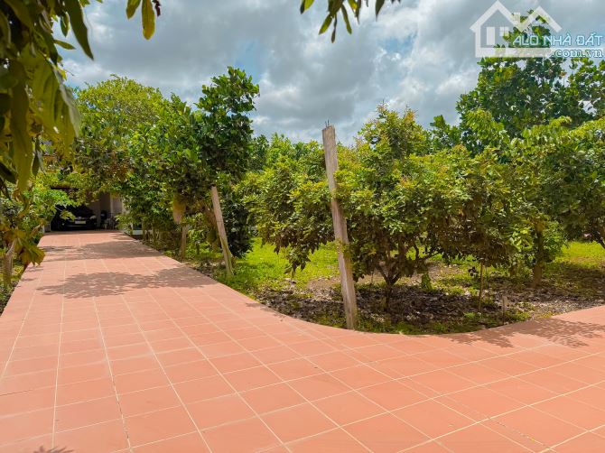 BIỆT THỰ VƯỜN GẦN 1HA, GẦN BIỂN VÀ TP.BÀ RỊA, SẴN THỔ CƯ VÀ VƯỜN CÂY ĂN TRÁI - 12