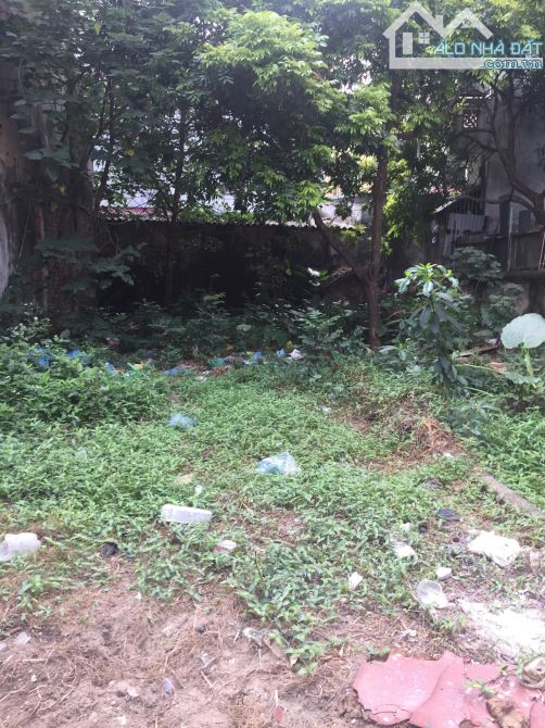 Bán Đất Lô Góc Trung Tâm Đống Đa – Dành Cho Nhà Đầu Tư "Săn" Dòng Tiền Và Gia Tăng Tài Sản