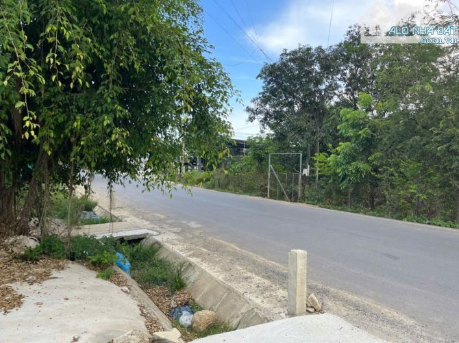 Tổng Hợp Đất Nền Vừa Ở Vừa Kinh Doanh Ở Phước Đồng Nha Trang tháng 5/2025