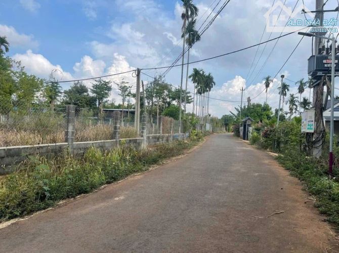 Mặt tiền đường nhựa Hoà Thắng - Hẻm C1 Đại Lộ Đông Tây