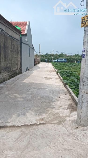 🏠Hướng Dương - Thắng lợi - Thường Tín  **Diện tích : 58,3m