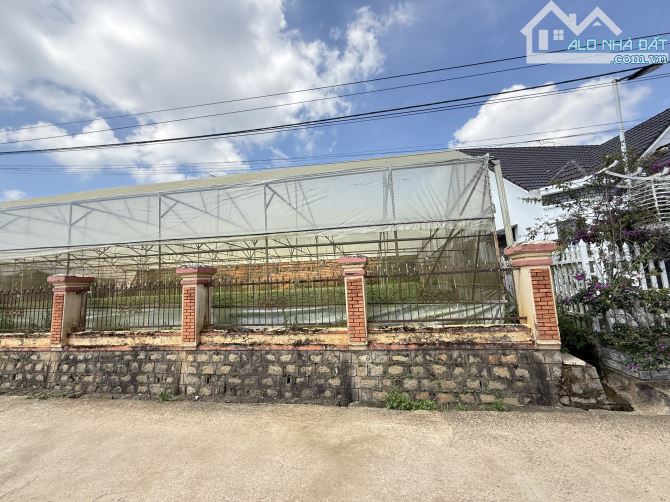 ĐẤT VIEW ĐẦU TƯ PHƯỜNG 11 - ĐƯỜNG 🚘 16 CHỖ ĐẾN TẬN NƠI (DT 257M2 👉 ĐƯỜNG 🚘 7M)