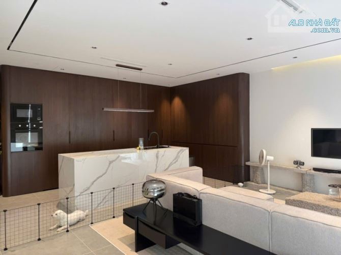 Biệt Thự Thảo Điền Làng Báo Chí 10x11 =111m2 Giá 36 TỶ - 10