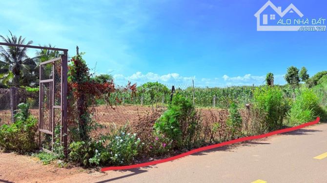 LONG TÂN - LONG ĐẤT - BRVT- ngay gần Tỉnh Lộ 52, khu nhiều nhà vườn ạ - 1