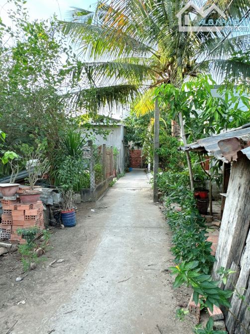 Cần bán gấp lô đất 139m2 ngang 6m P7,TP Bến Tre - 1