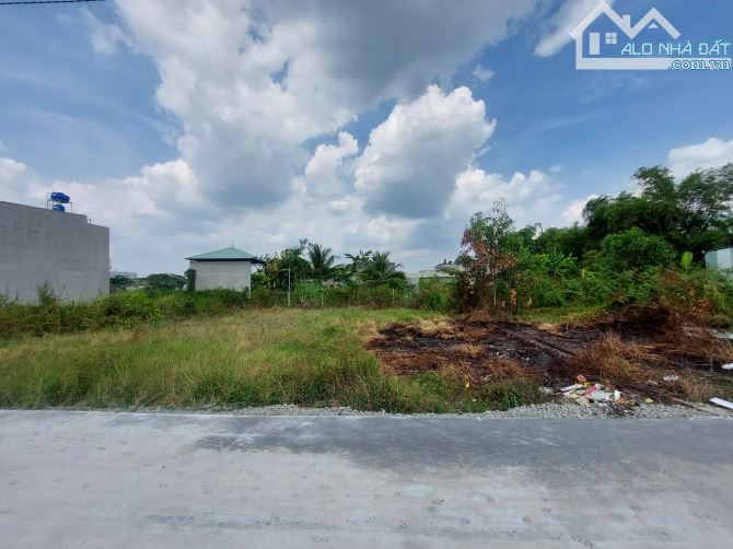 Bán đất thổ cư Đức Hòa Hạ, vị trí tiềm năng và gần khu công nghiệp Tân Đức, Hải Sơn - 5