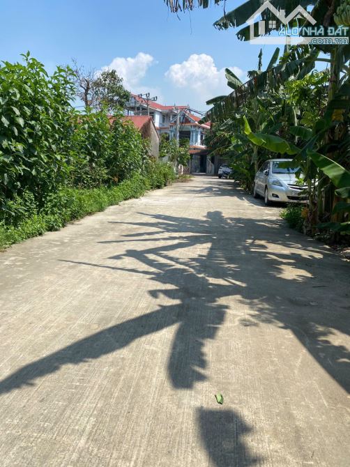 Cần thanh khoản nhanh lô đất 67m2 full thổ cư tại Ninh Môn. Hiền Ninh, Sóc Sơn. - 1