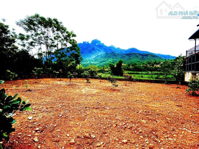 Cần Bán Mảnh Đất Tại Vân Hoà, Ba Vì 1534M2_200m2 Thổ Cư, View Đẹp , Sổ hồng Nở Hậu - 1