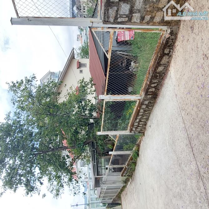 Bán lô đất ngay trung tâm- Phường 8 Đà Lạt 🔥350m -10 Tỷ - 1