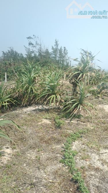 Bán đất sát biển Vịnh Giang Bình Nam Thăng Bình Quảng Nam - 1