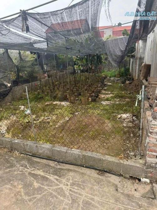 🥳🥳🥳Siêu Phẩm 107,2m2 đất ở tại Đan Kim - Liên Nghĩa - Văn Giang sát cạnh đường Đông Tây - 1